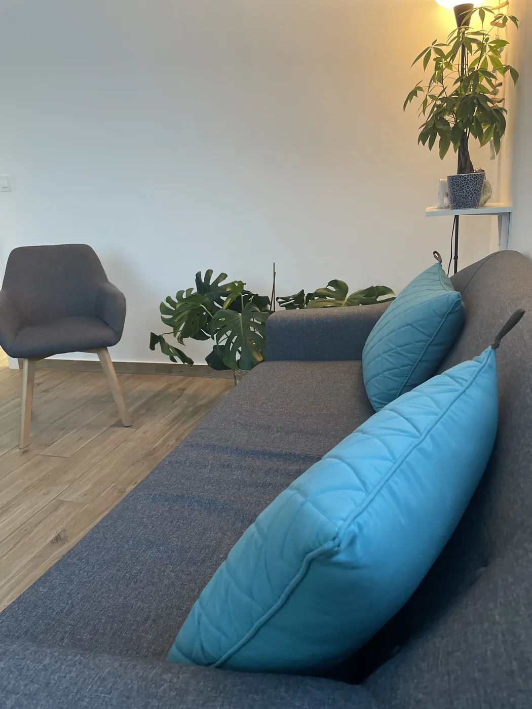 Sala de psicología del centro Forum en Reus, con sofá gris, cojines azules, butaca y plantas