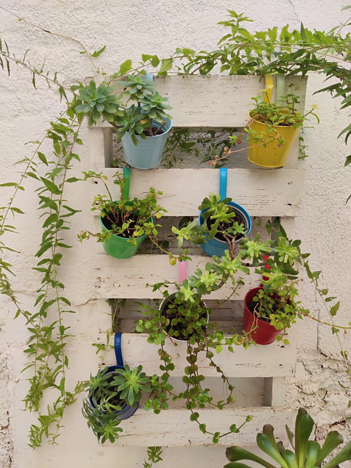 Foto de Espai De Salut Forum (1)